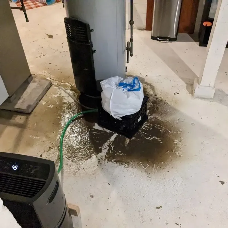 Sewage Backup Cleanup Service in Ben Lomond, CA